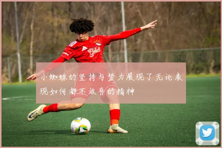 小蜘蛛的坚持与努力展现了无论表现如何都不放弃的精神